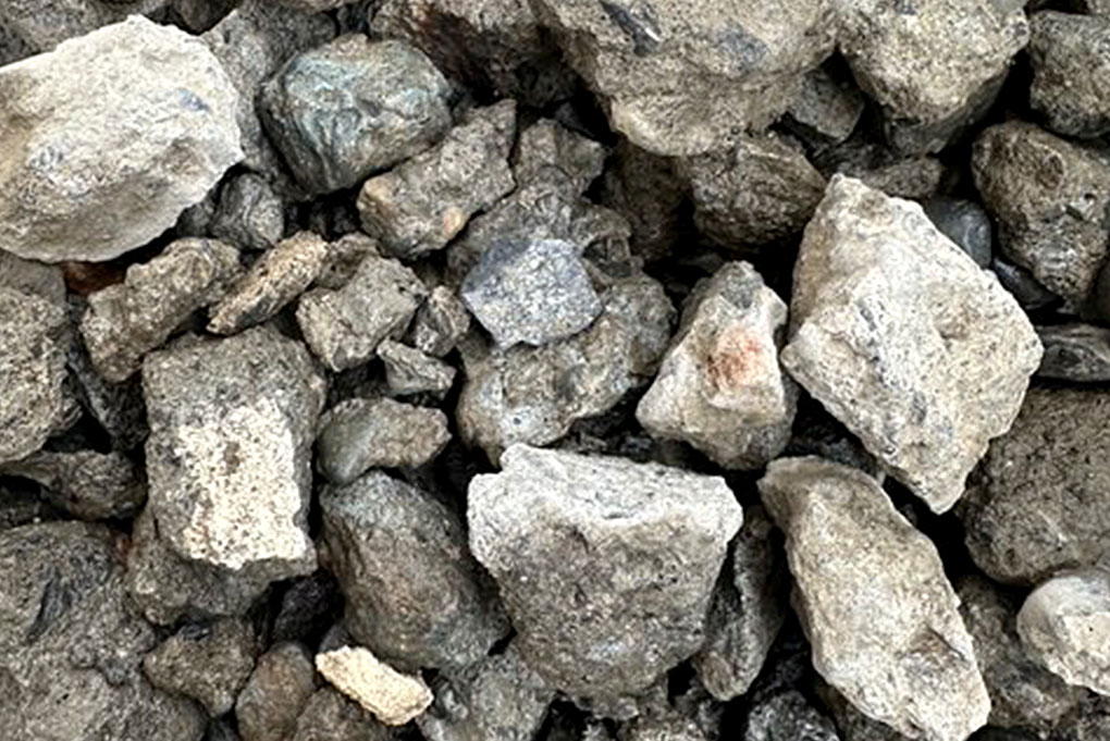 Service 事業内容