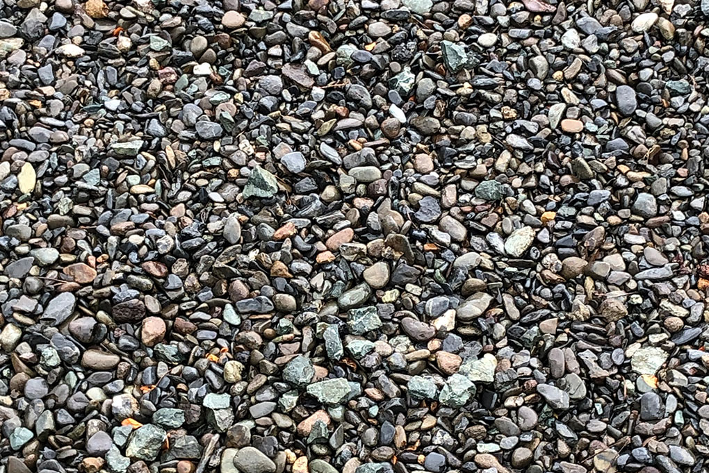 Service 事業内容